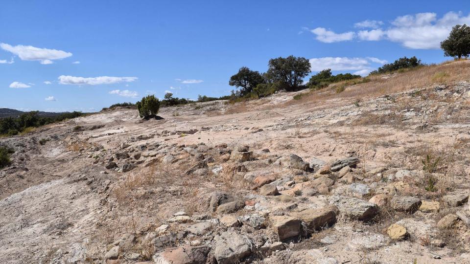 11 de Setembre de 2017 Jaciment romà de Puig_Castellar  Biosca -  Ramon Sunyer