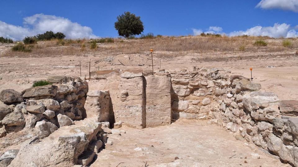 11 de Setembre de 2017 Jaciment romà de Puig_Castellar  Biosca -  Ramon Sunyer