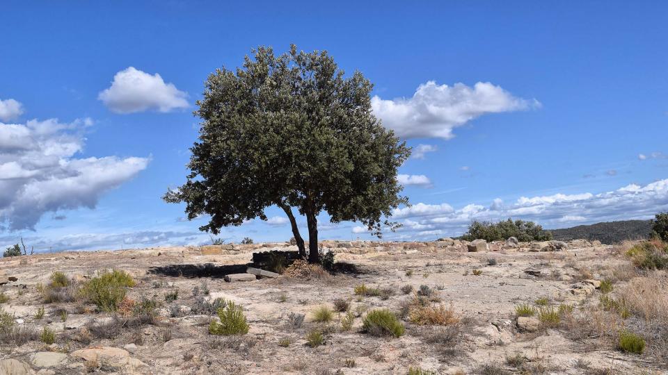 11 de Setembre de 2017 Jaciment romà de Puig_Castellar  Biosca -  Ramon Sunyer