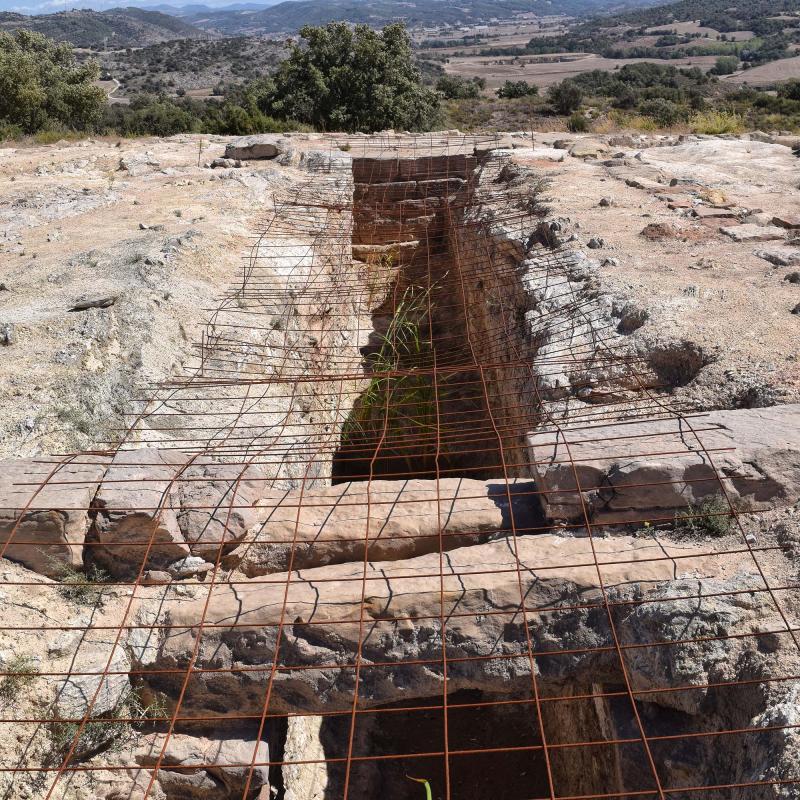 11 de Setembre de 2017 Jaciment romà de Puig_Castellar  Biosca -  Ramon Sunyer