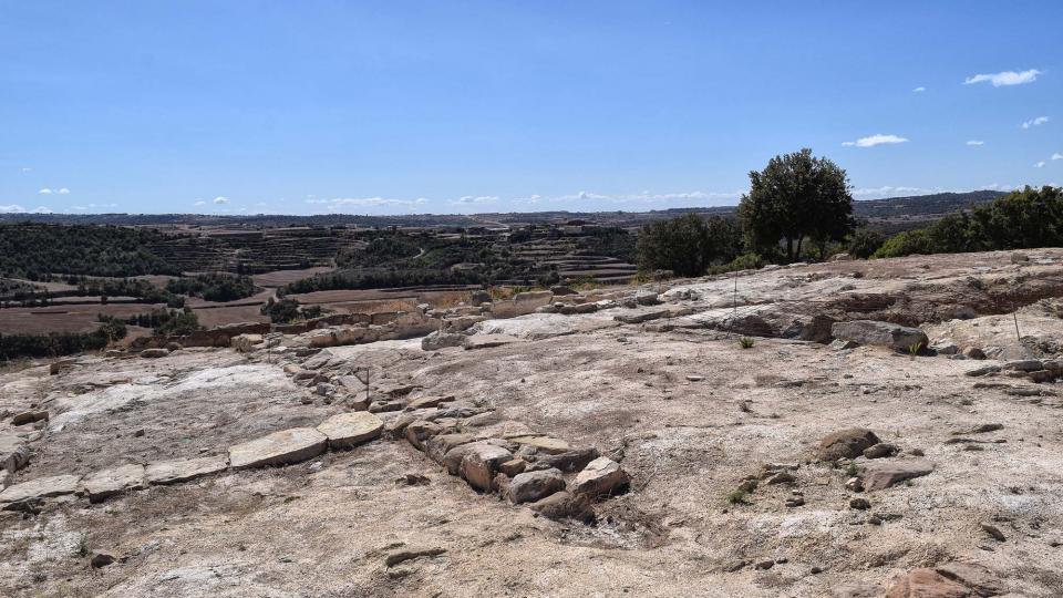 11 de Setembre de 2017 Jaciment romà de Puig_Castellar  Biosca -  Ramon Sunyer