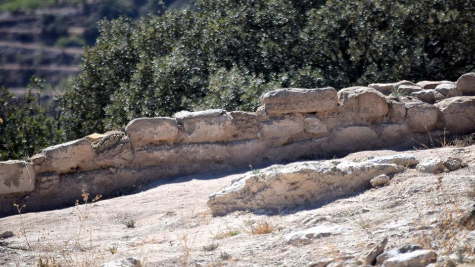 11 de Setembre de 2017 Jaciment romà de Puig_Castellar  Biosca -  Ramon Sunyer