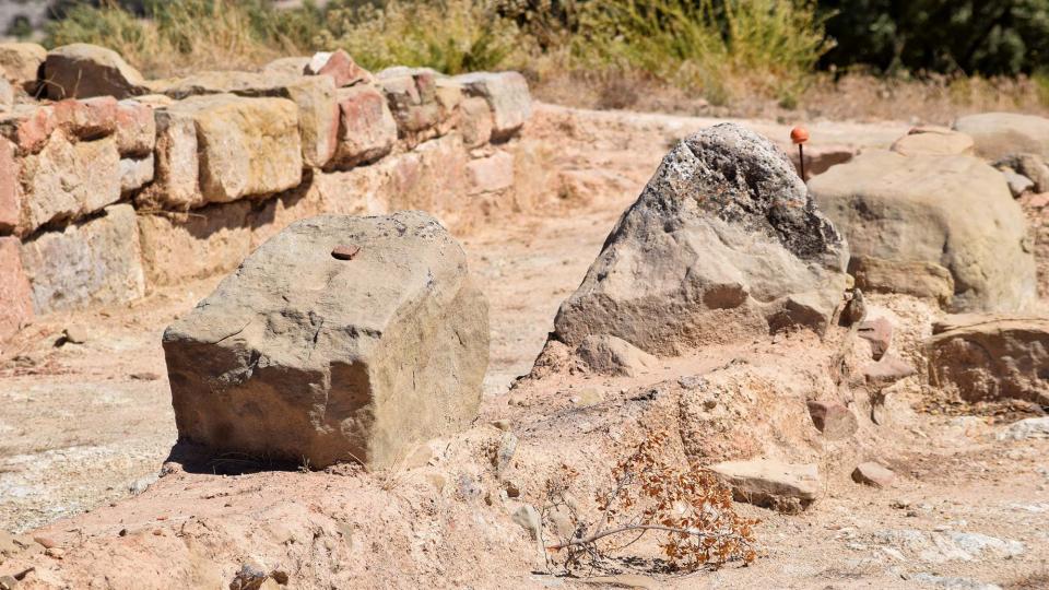 11 de Setembre de 2017 Jaciment romà de Puig_Castellar  Biosca -  Ramon Sunyer