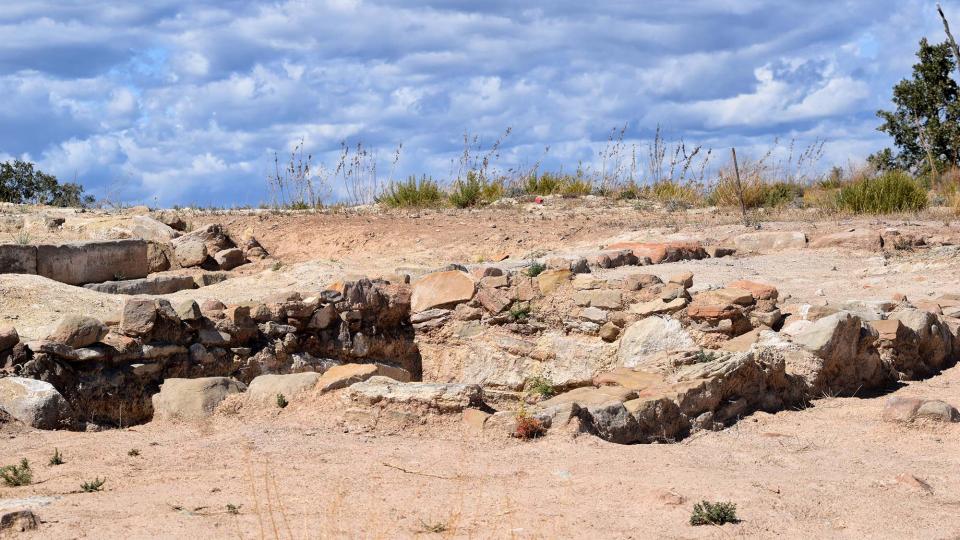 11 de Setembre de 2017 Jaciment romà de Puig_Castellar  Biosca -  Ramon Sunyer