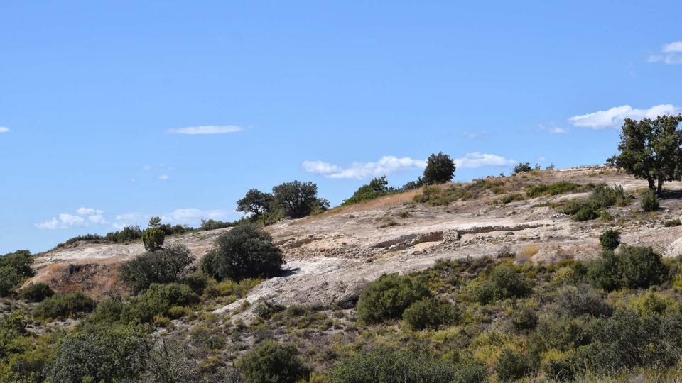 11 de Setembre de 2017 Jaciment romà de Puig_Castellar  Biosca -  Ramon Sunyer