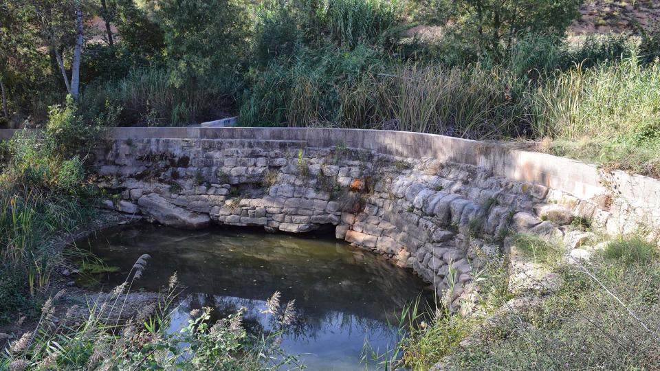 17.9.2017 Peixera del Duc  Fontanet -  Ramon Sunyer