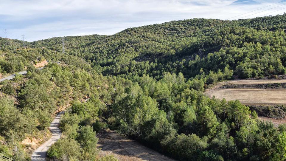 17 de Setembre de 2017 Paisatge  Fontanet -  Ramon Sunyer