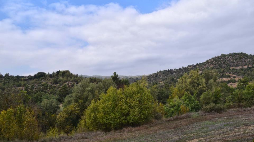 15 de Octubre de 2017 paisatge  Vallmanya -  Ramon Sunyer