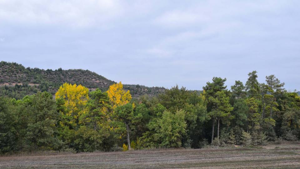 15 de Octubre de 2017 paisatge  Vallmanya -  Ramon Sunyer