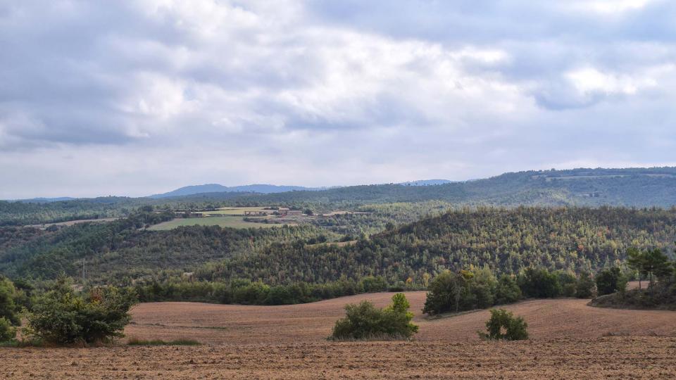 15.10.2017 paisatge  Vallmanya -  Ramon Sunyer