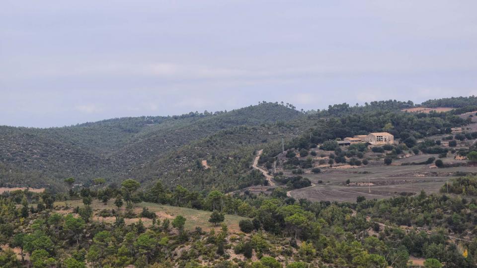 15 de Octubre de 2017 Mas la Garriga  Matamargó -  Ramon Sunyer