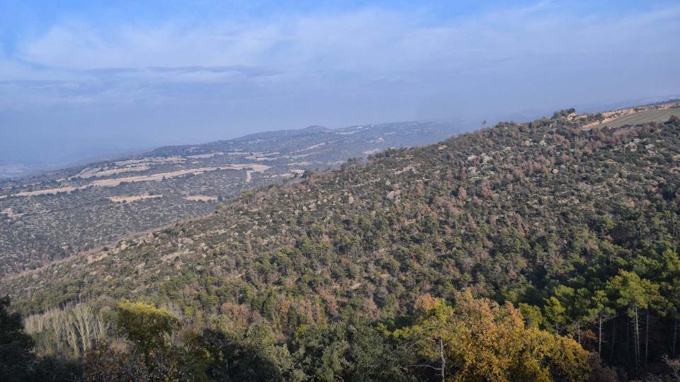 8 de Desembre de 2017 Paisatge de Figuerola  Fontanet -  Ramon Sunyer