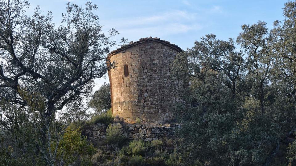 8.12.2017 Sant Pere de Figuerola  Fontanet -  Ramon Sunyer