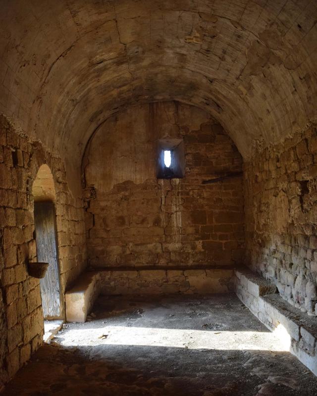 8 de Desembre de 2017 Sant Pere de Figuerola  Fontanet -  Ramon Sunyer