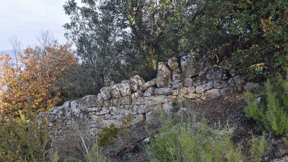 8.12.2017 Sant Pere de Figuerola  Fontanet -  Ramon Sunyer