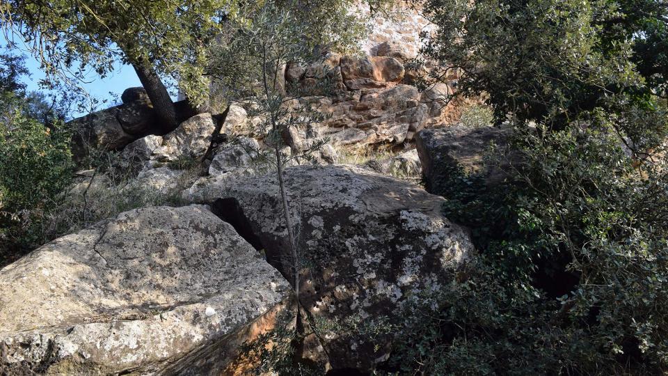 8 de Desembre de 2017 Paisatge de Figuerola  Fontanet -  Ramon Sunyer