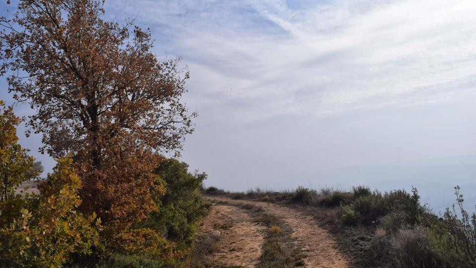 8 de Desembre de 2017 Paisatge  L'Aguda -  Ramon Sunyer