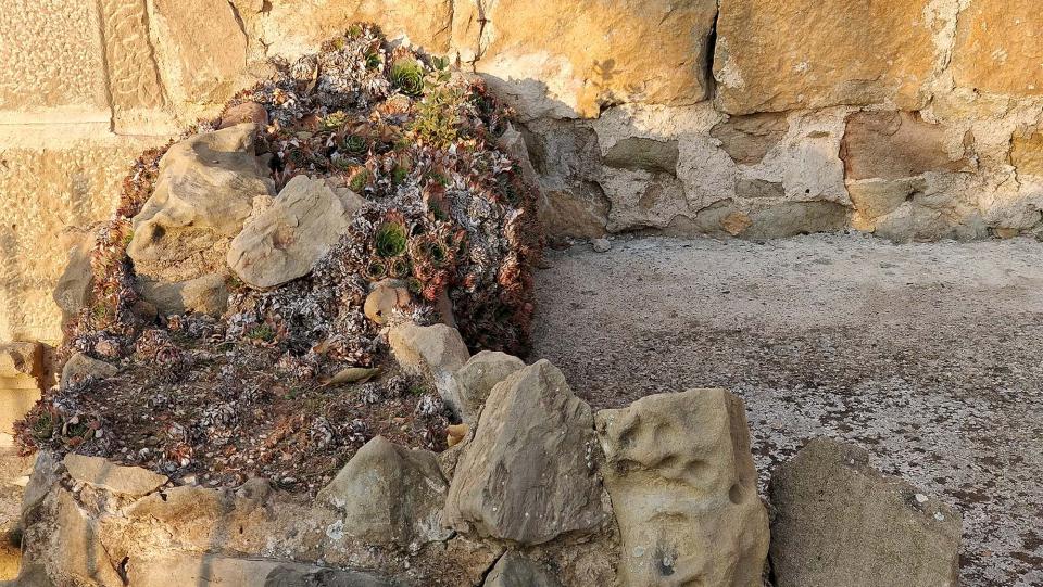 8 de Desembre de 2017 Convent de sant Antoni  Torà -  Ramon Sunyer