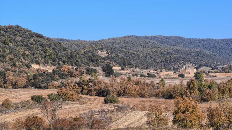 6.12.2017 Paisatge de Valldàries  Vilanova de l'Aguda -  Ramon Sunyer