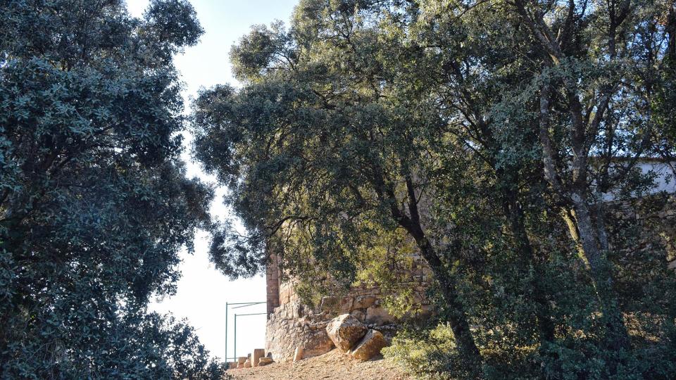 6.12.2017 Església de Sant Miquel de Valldàries  Vilanova de l'Aguda -  Ramon Sunyer