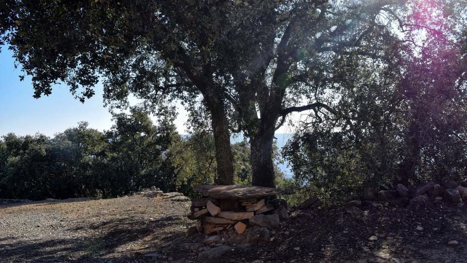 6 de Desembre de 2017 Església de Sant Miquel de Valldàries  Vilanova de l'Aguda -  Ramon Sunyer