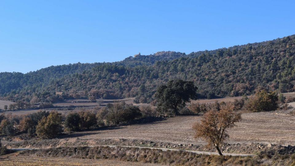 6 de Desembre de 2017   Vilanova de l'Aguda -  Ramon Sunyer