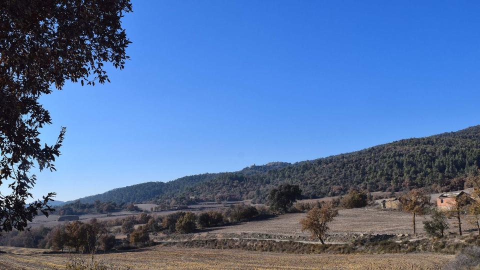 6 de Desembre de 2017   Vilanova de l'Aguda -  Ramon Sunyer