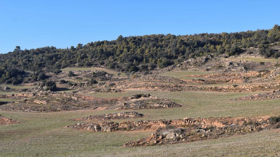 6.12.2017   Vilanova de l'Aguda -  Ramon Sunyer