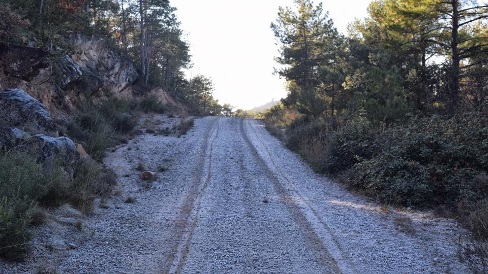 6.12.2017   Vilanova de l'Aguda -  Ramon Sunyer