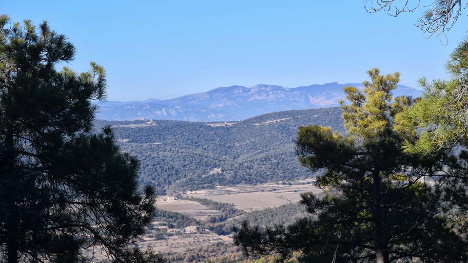 6.12.2017 Valldàries  Vilanova de l'Aguda -  Ramon Sunyer