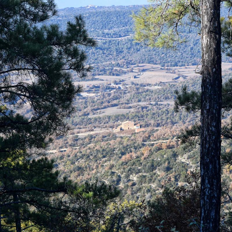 6.12.2017 Valldàries  Vilanova de l'Aguda -  Ramon Sunyer