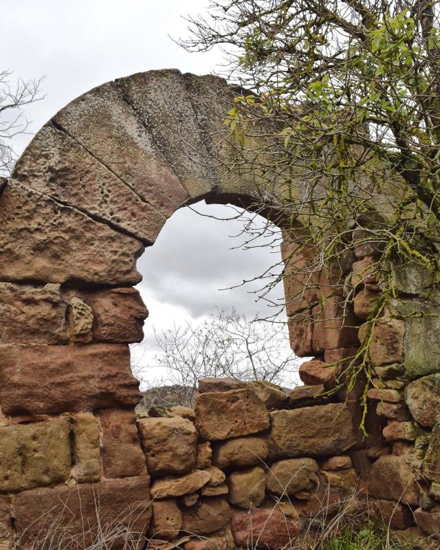 27 de Desembre de 2017 castell  Claret -  Ramon Sunyer