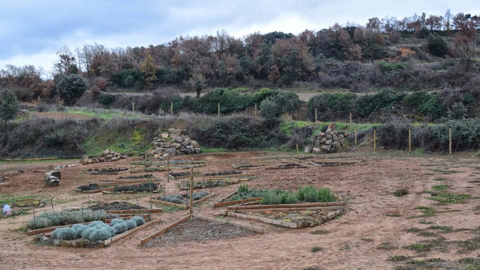 27.12.2017 parc de les olors  Claret -  Ramon Sunyer