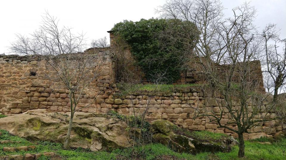 27 de Desembre de 2017 castell  Claret -  Ramon Sunyer