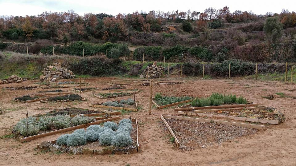 27.12.2017 parc de les olors  Claret -  Ramon Sunyer