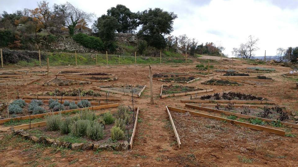 27 de Desembre de 2017 parc de les olors  Claret -  Ramon Sunyer