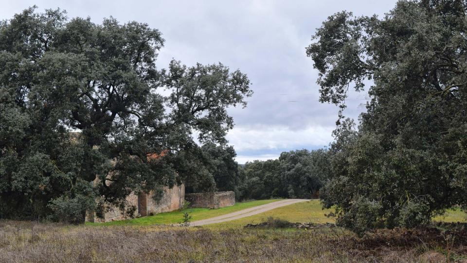 27 de Desembre de 2017   Sant Serni -  Ramon Sunyer