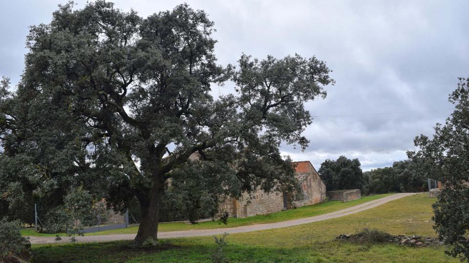 27.12.2017   Sant Serni -  Ramon Sunyer