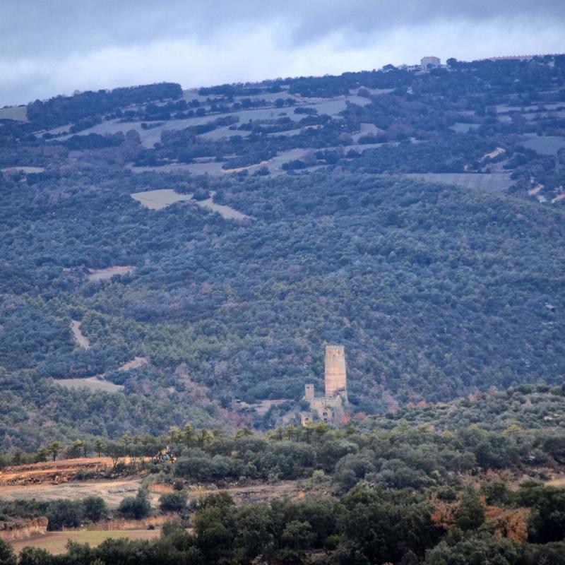 27 de Desembre de 2017 Torre de Vallferosa  Sant Serni -  Ramon Sunyer