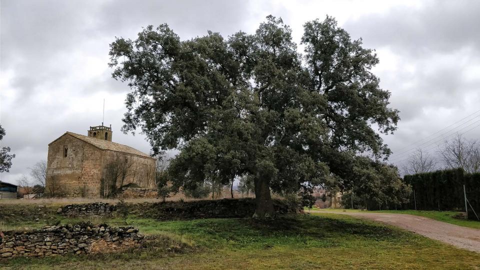 27 de Desembre de 2017 Església de Santa Maria  Sant Serni -  Ramon Sunyer