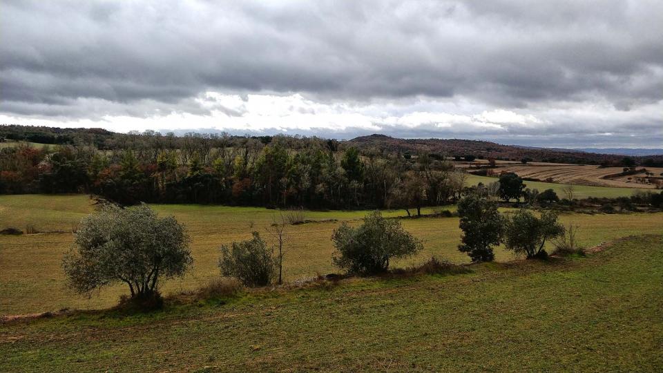 27 de Desembre de 2017 paisatge  Sant Serni -  Ramon Sunyer