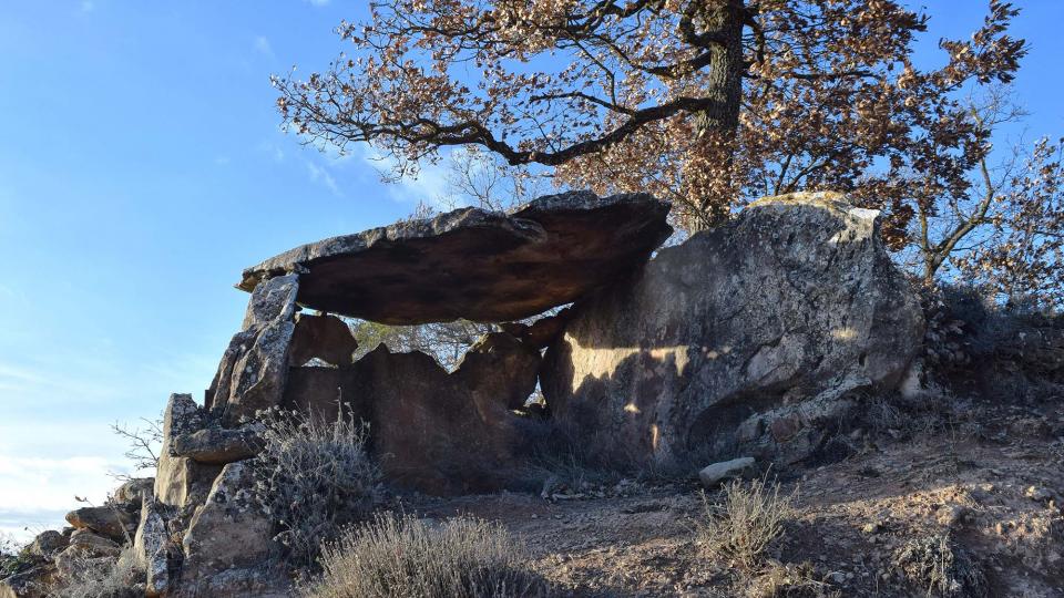 2 de Gener de 2018 Dolmen del collet de Su  Ardèvol -  Ramon Sunyer