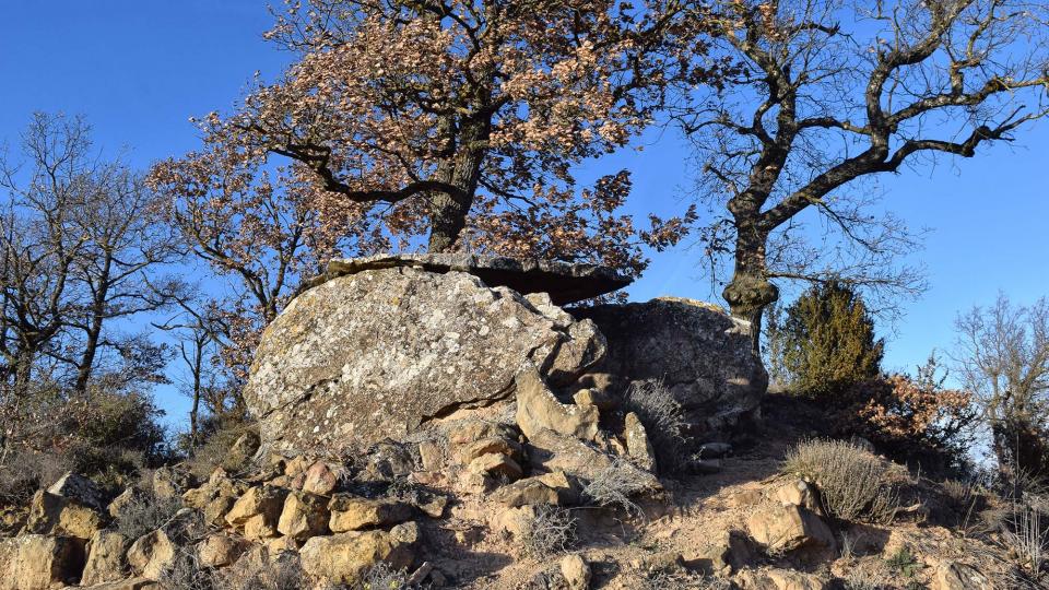 2 de Gener de 2018 Dolmen del collet de Su  Ardèvol -  Ramon Sunyer