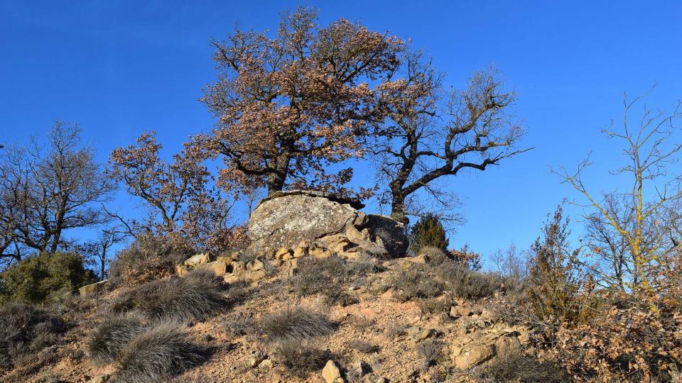 02.01.2018 Hiking trail Ardèvol - Dolmen de la Pera - Dolmen de Casacremada - Santuari Mare de  - Author Ramon Sunyer