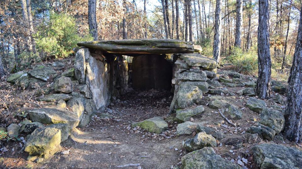 2 de Gener de 2018 Dolmen de la Pera  Ardèvol -  Ramon Sunyer