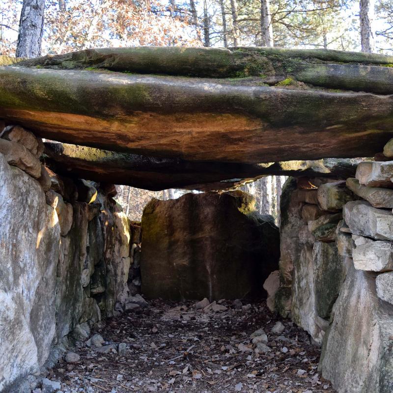 2 de Gener de 2018 Dolmen de la Pera  Ardèvol -  Ramon Sunyer