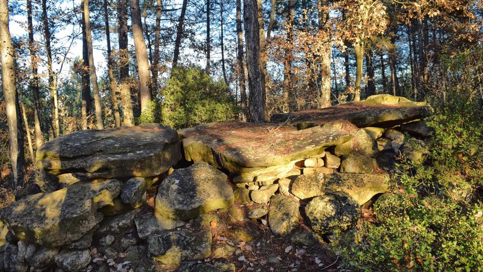 2 de Gener de 2018 Dolmen de la Pera  Ardèvol -  Ramon Sunyer