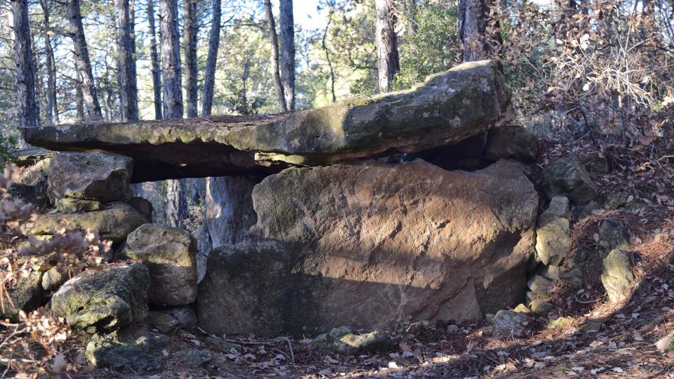 2 de Gener de 2018 Dolmen de la Pera  Ardèvol -  Ramon Sunyer