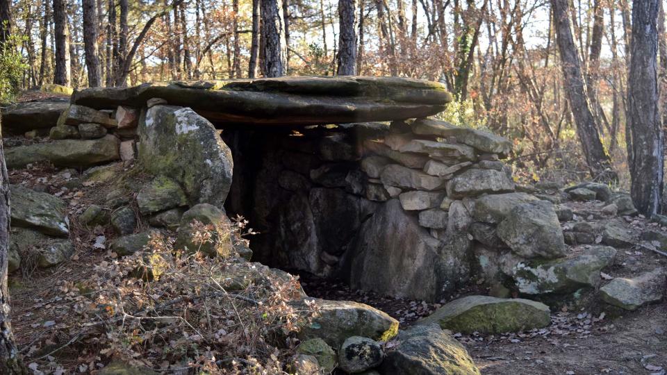 2 de Gener de 2018 Dolmen de la Pera  Ardèvol -  Ramon Sunyer