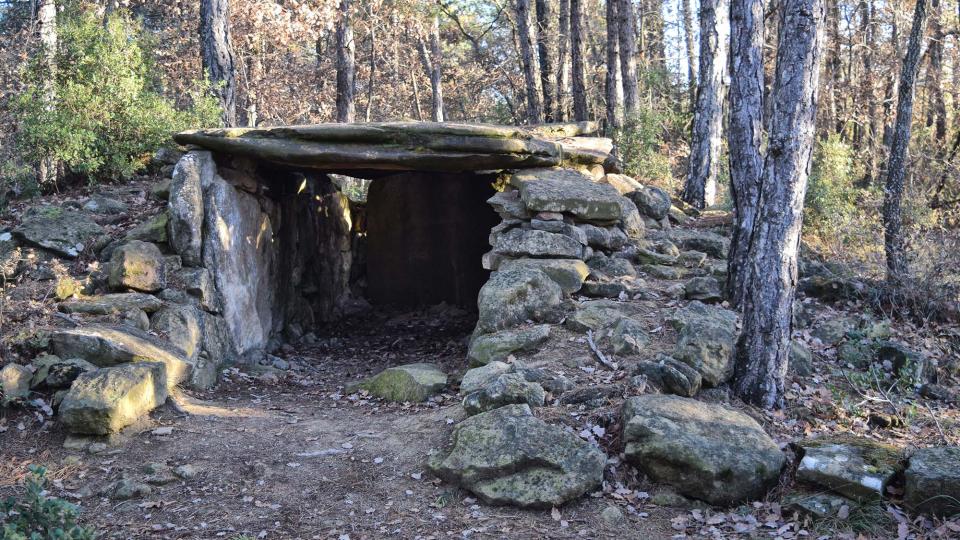 2 de Gener de 2018 Dolmen de la Pera  Ardèvol -  Ramon Sunyer